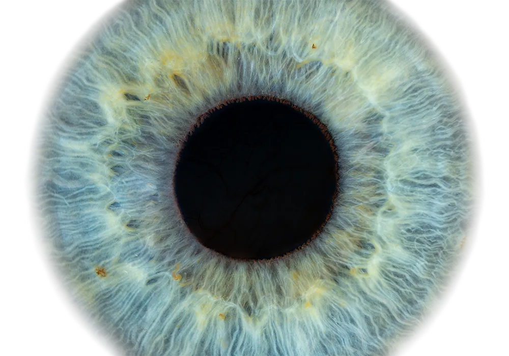 Blau grünes Auge