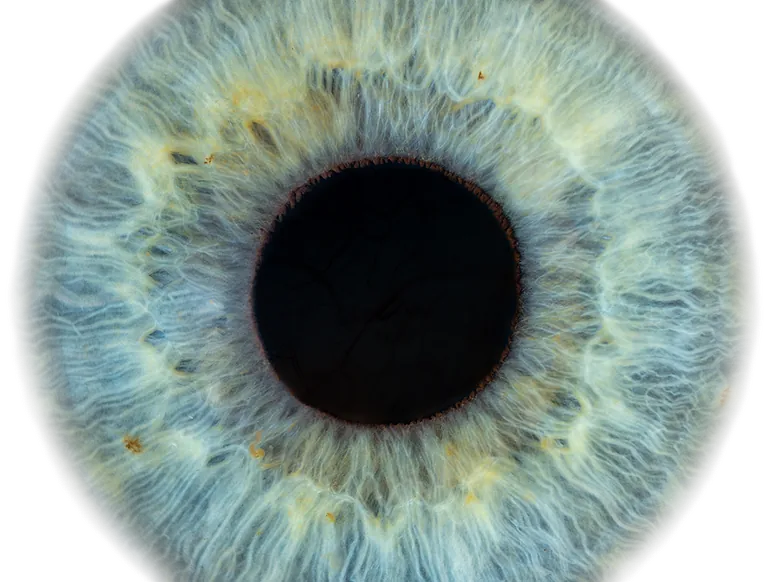 Blau grünes Auge